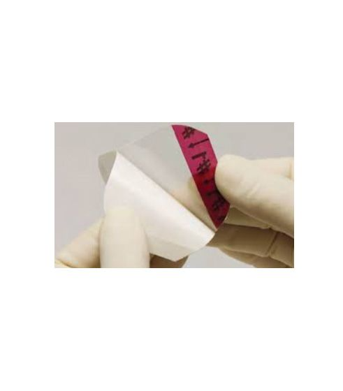 Kendall Transparent Film Dressing 10.2 X 20.3 cm - Each